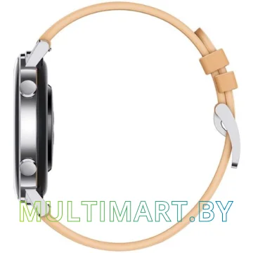Смарт-часы Huawei Watch GT2 Classic Edition DAN-B19 42 мм (бежевый) картинка 2